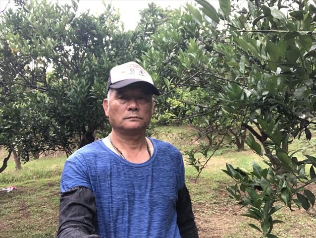 生產者圖片
