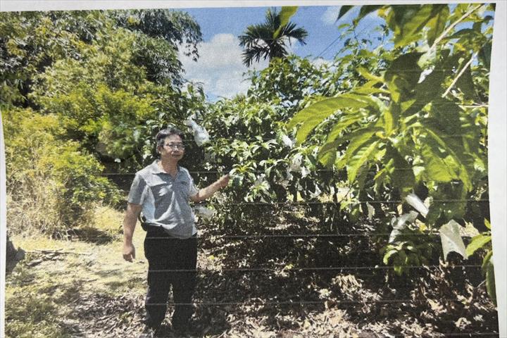 生產者圖片