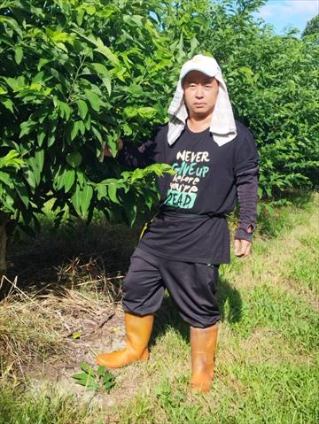 生產者圖片