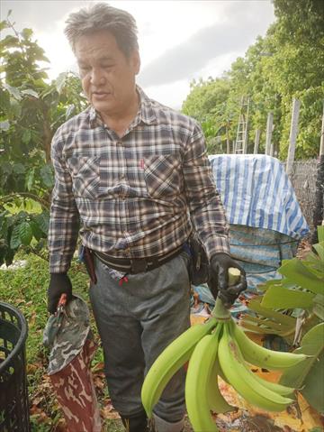 生產者圖片