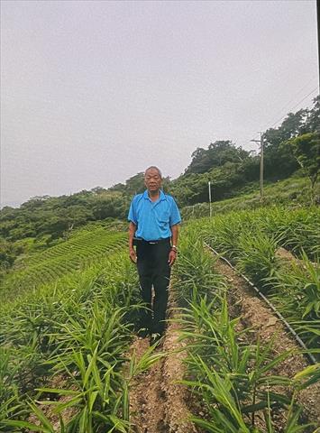 生產者圖片