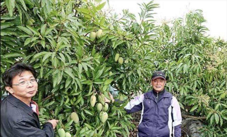 生產者圖片
