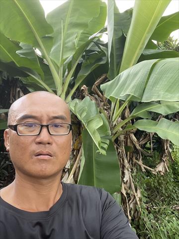 生產者圖片