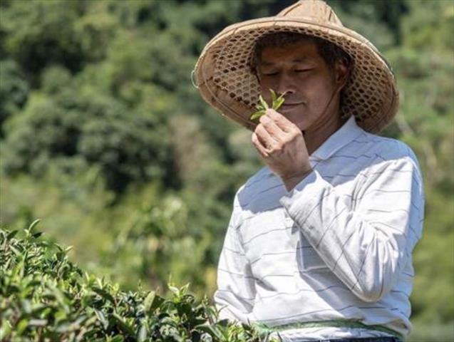 生產者圖片