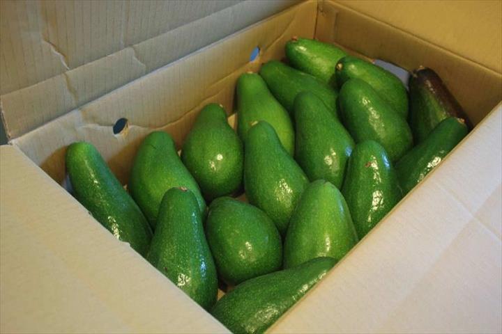 生產者圖片