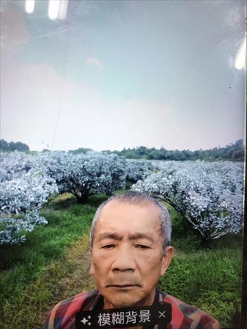 生產者圖片