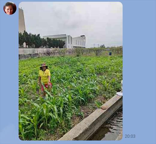 生產者圖片