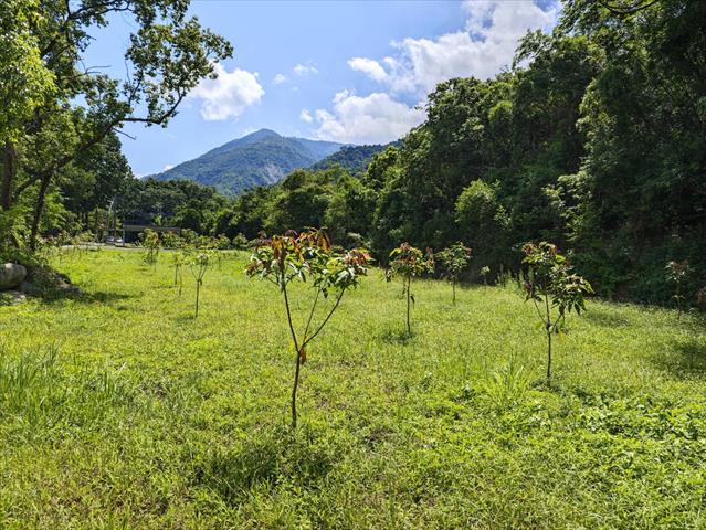生產者圖片