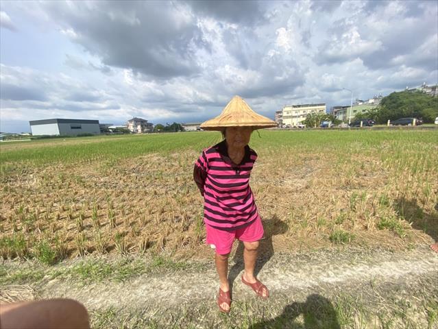 生產者圖片