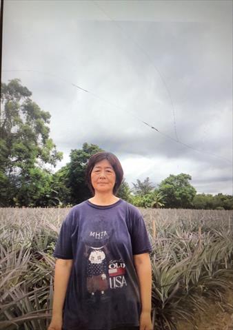 生產者圖片