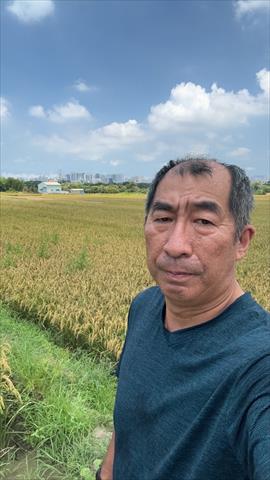生產者圖片