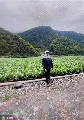 生產者圖片