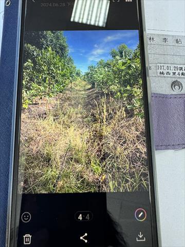 生產者圖片