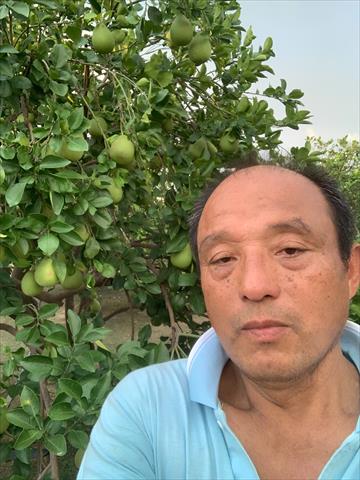 生產者圖片