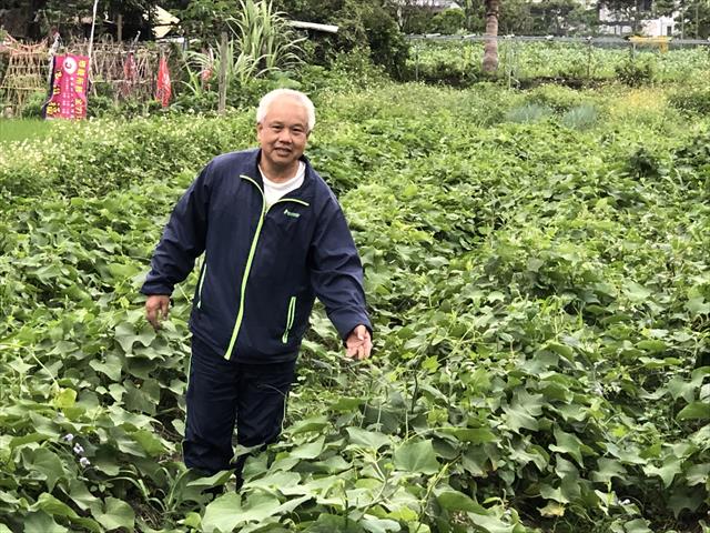 生產者圖片