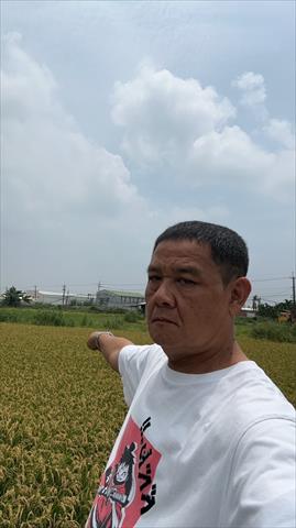 生產者圖片