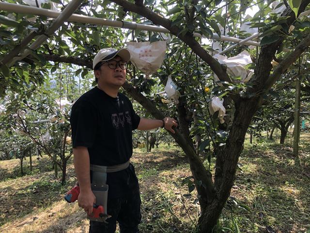 生產者圖片