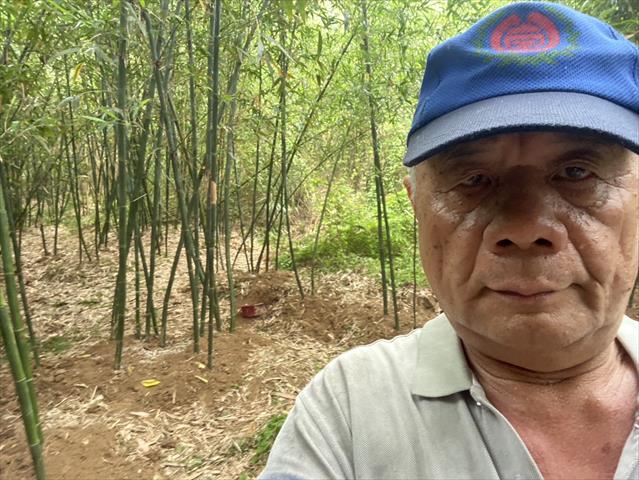 生產者圖片