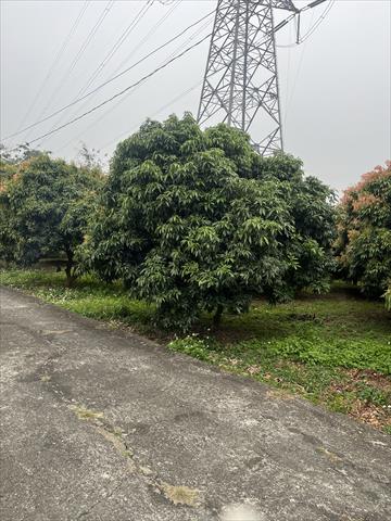 生產者圖片