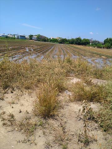 生產者圖片