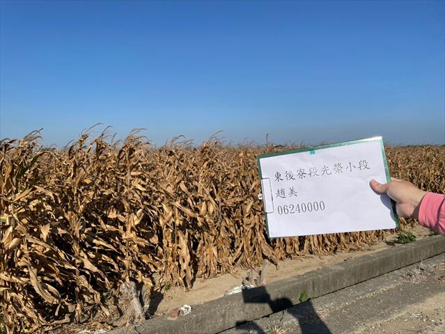 生產者圖片