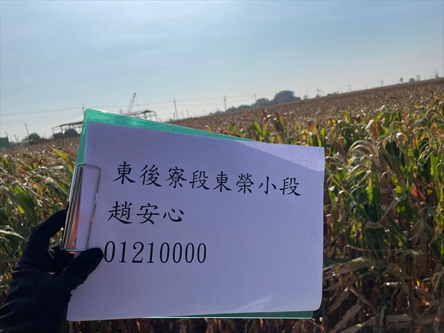 生產者圖片