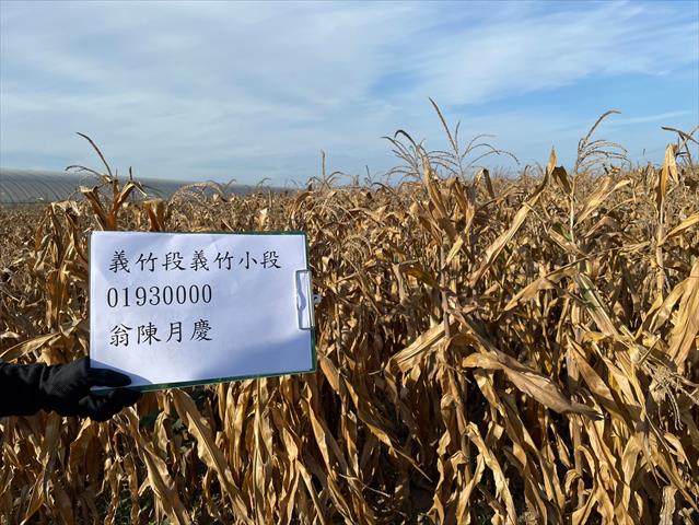 生產者圖片
