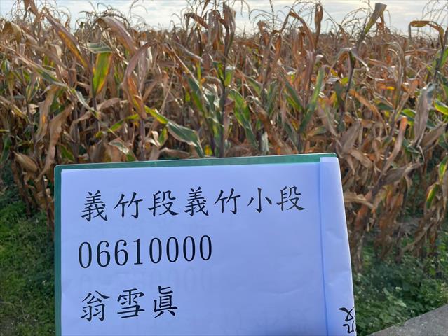 生產者圖片