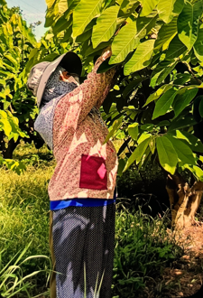 生產者圖片