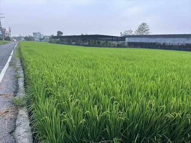 生產者圖片