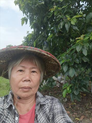 生產者圖片