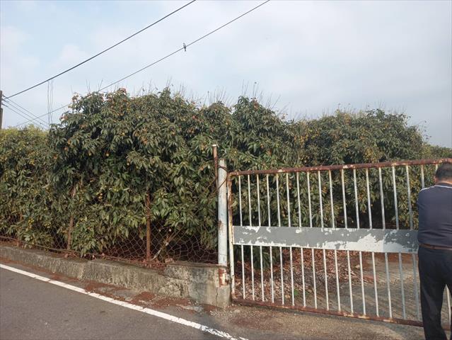 生產者圖片
