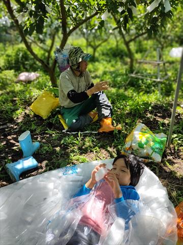 生產者圖片