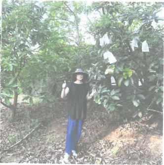生產者圖片