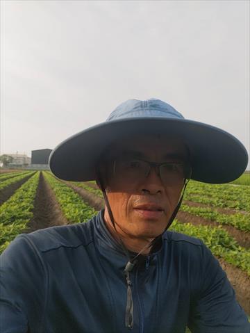 生產者圖片