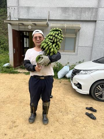 生產者圖片