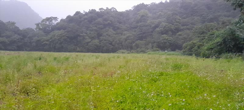 生產者圖片