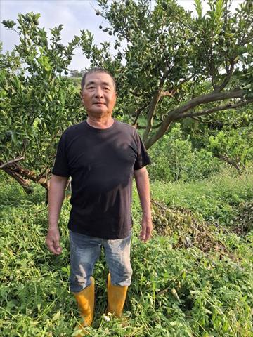 生產者圖片
