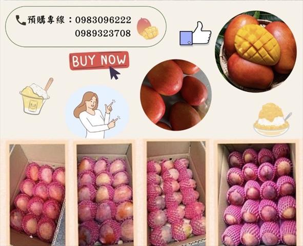 生產者圖片