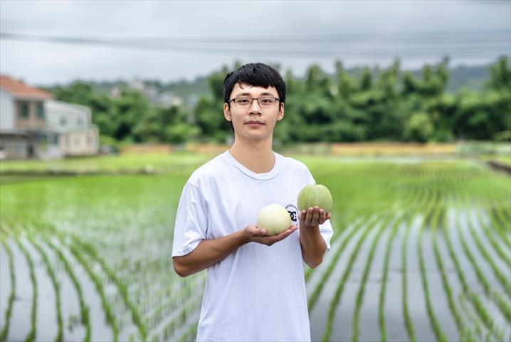生產者圖片