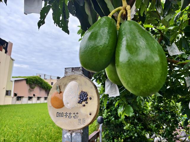 生產者圖片