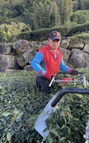 生產者圖片