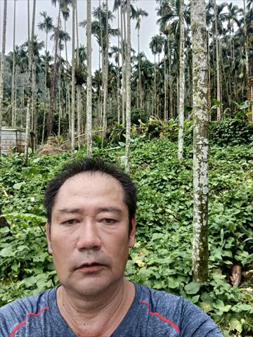 生產者圖片