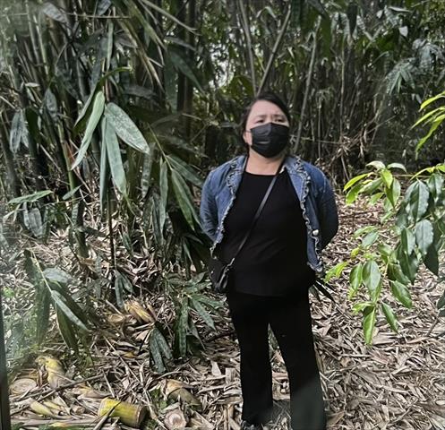 生產者圖片