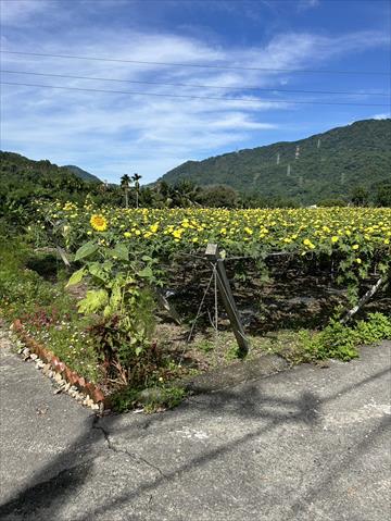 生產者圖片