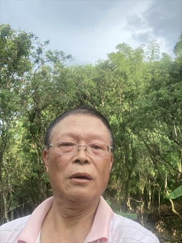 生產者圖片