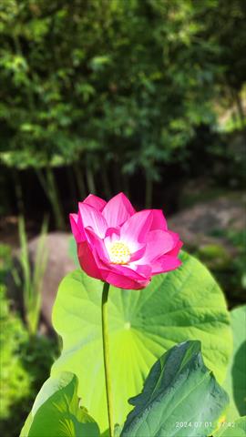 生產者圖片