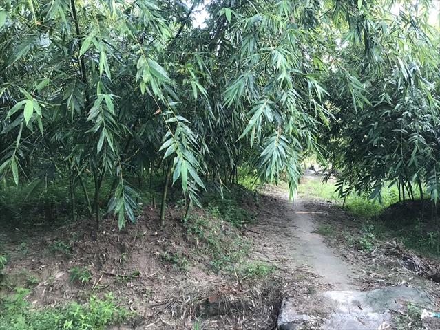 生產者圖片