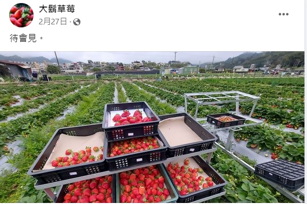 生產者圖片