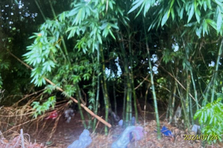 生產者圖片